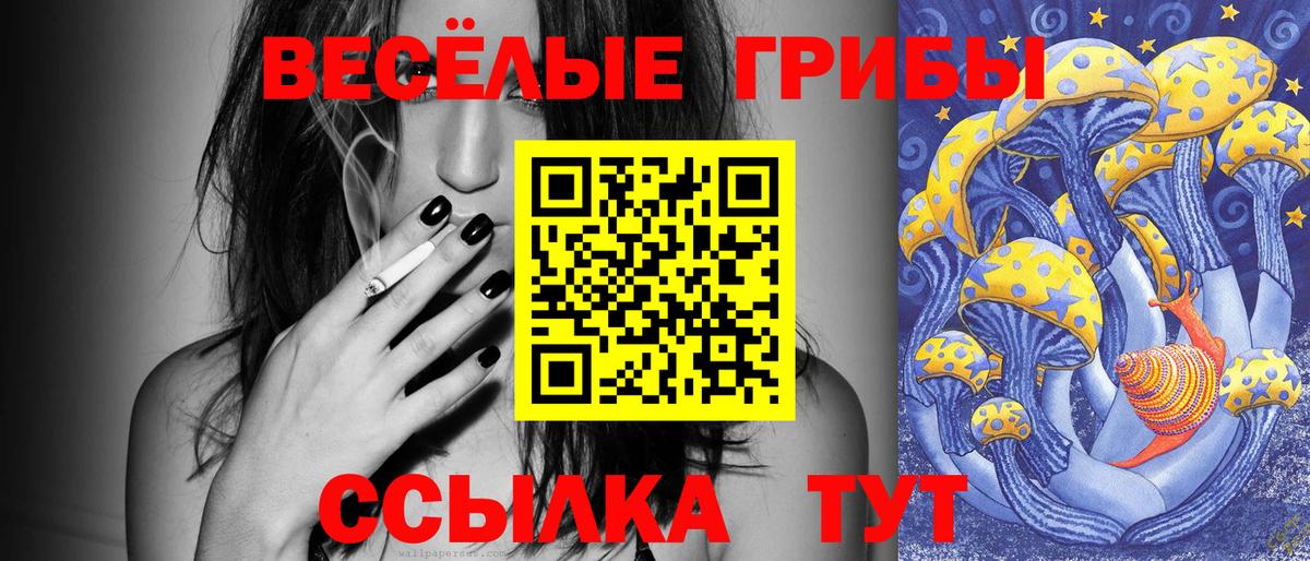 Псилоцибиновые грибы мухоморы Осинники