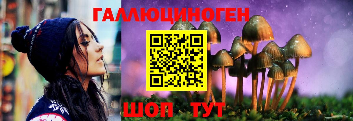 наркотики  Вход с VPN  Осинники  Псилоцибиновые грибы прущие грибы 
