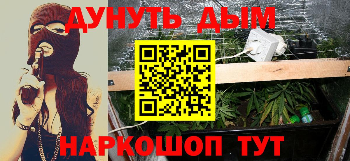 Канабис сатива Осинники